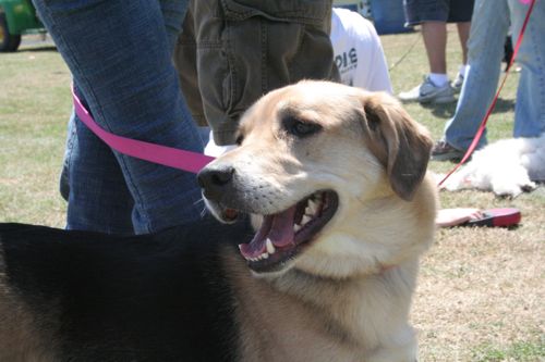smileymutt