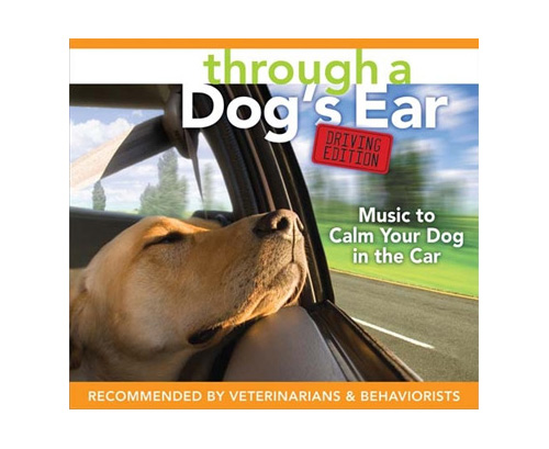 dogsearcd2