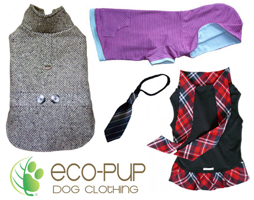 ecopup1 ecopup1
