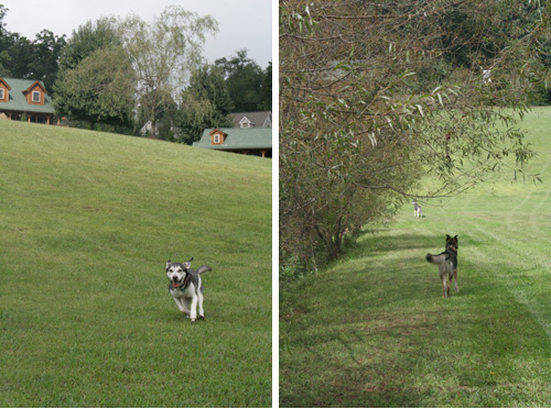 barkwells4 barkwells4