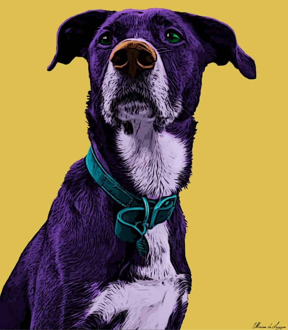 Get a Cool Custom Portrait of Your Dog - Phetched.com